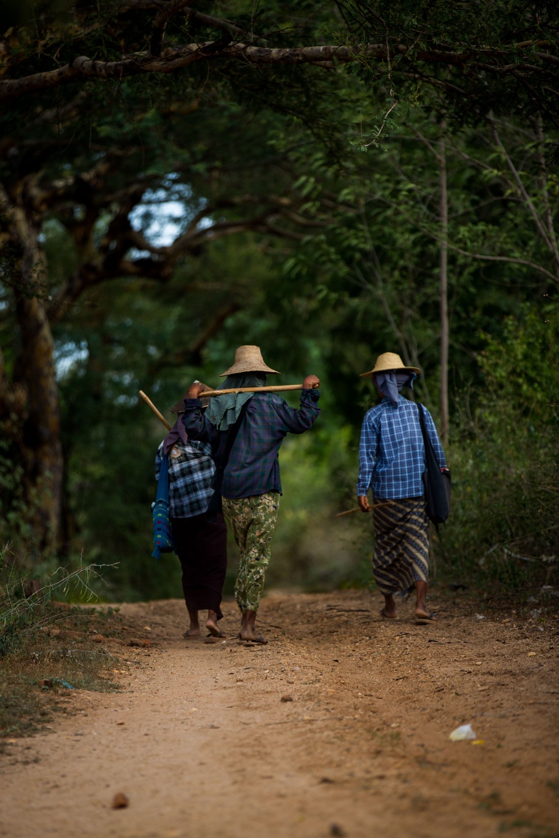 Paysanes au milieu des temples, Bagan