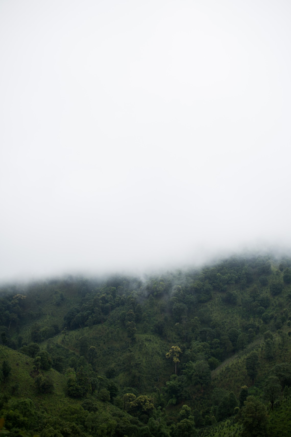 Montagnes Shan, Tan San, Shan State