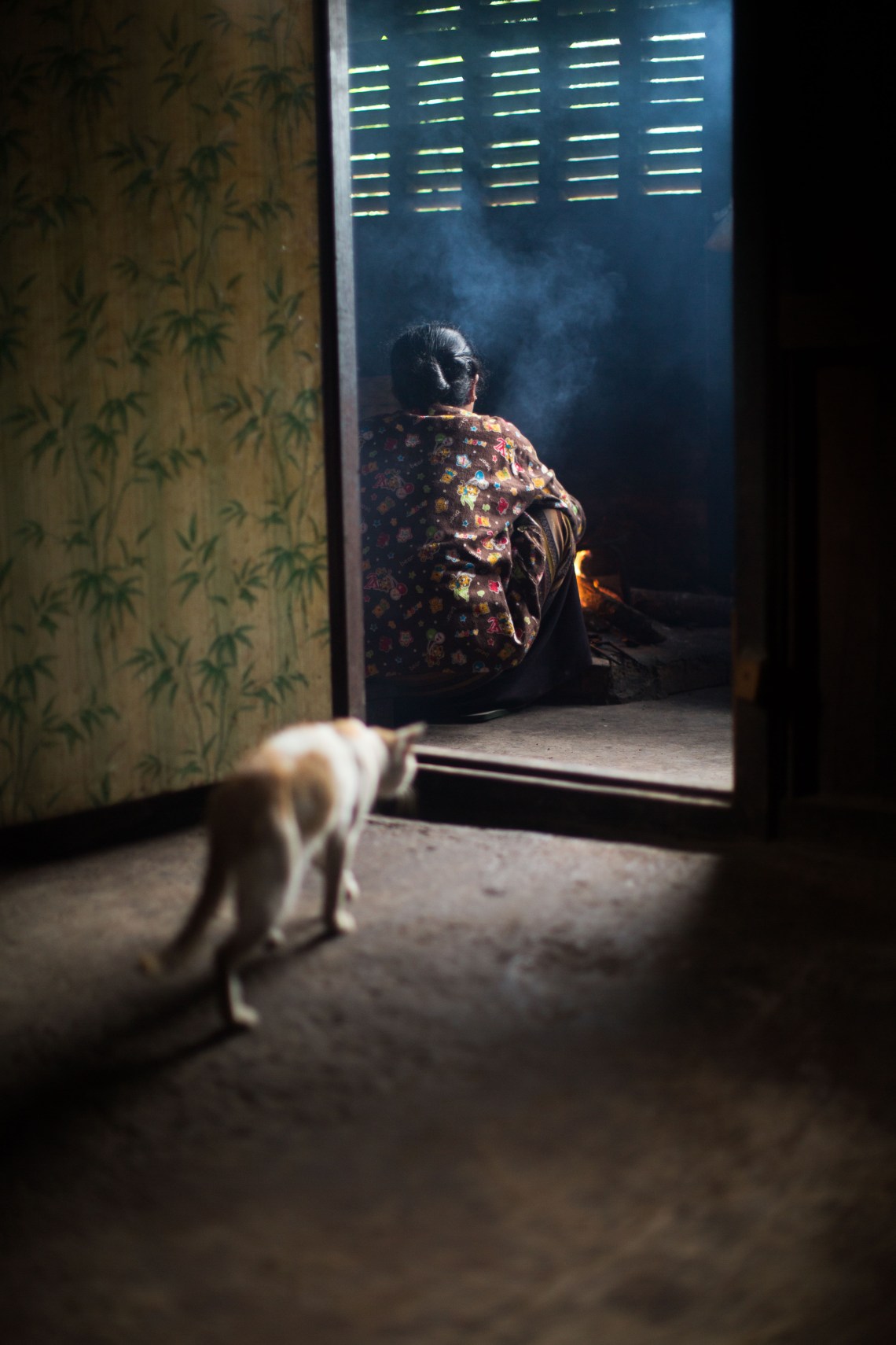 Femme palaung qui cuisine, Tan San, Shan State