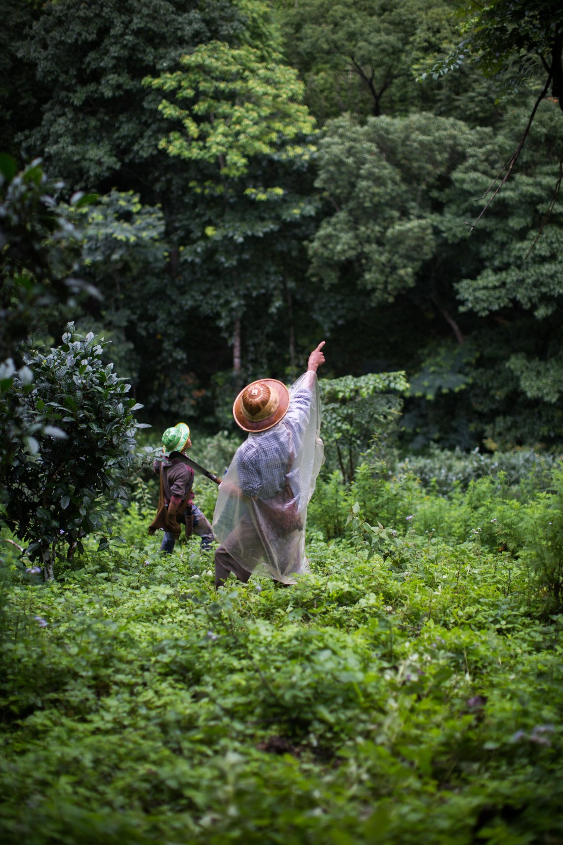 Hommes palaungs dans les montagnes
