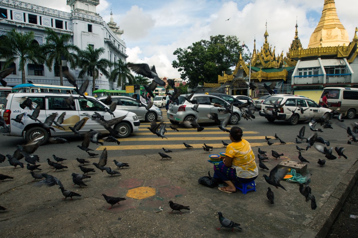Les pigeons de la Sule Pagoda, Yangon